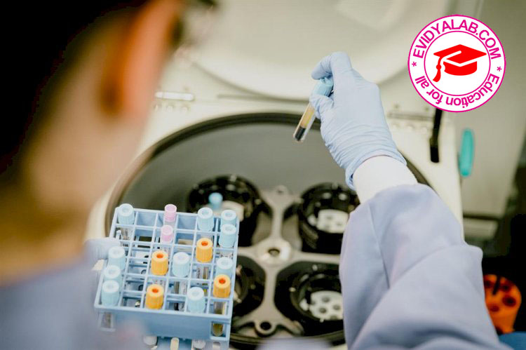 Diploma in Medical Laboratory Technology (DMLT)