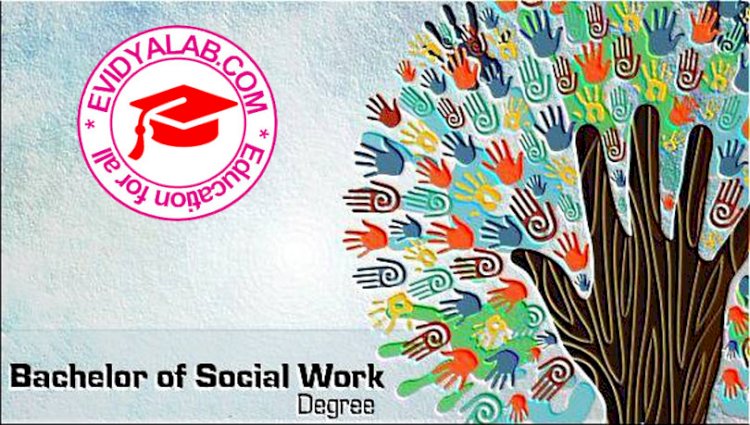 Bachelor of Social Work - BSW